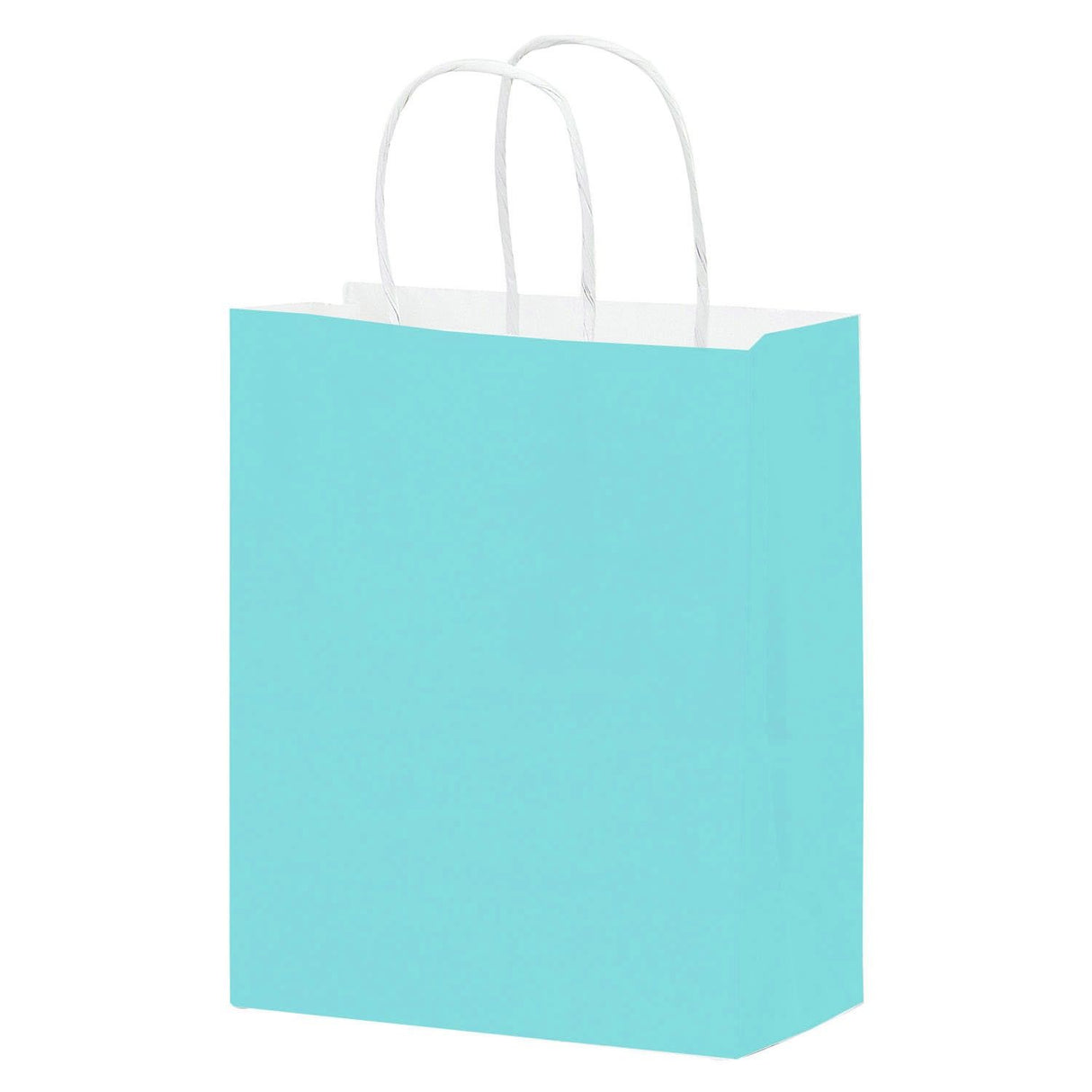 Matte Turquoise - Matte Shopping Bags - 8 x 4-3/4 x 10-3/8"