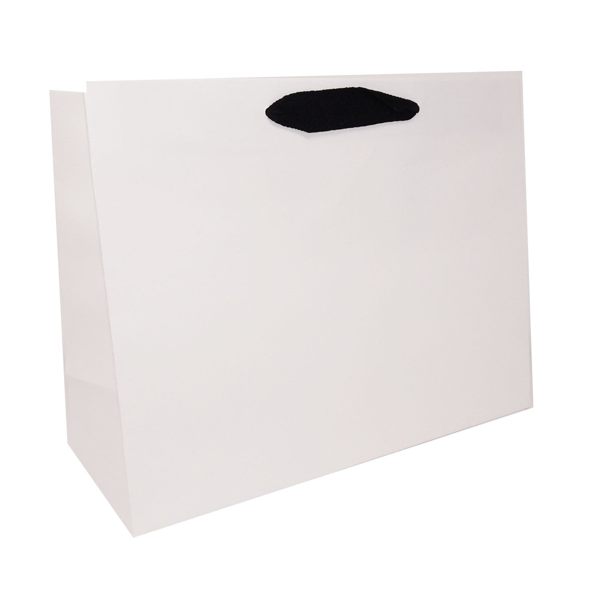 13 x 5 x 10" / Blank Bag / No Printing / Case/100