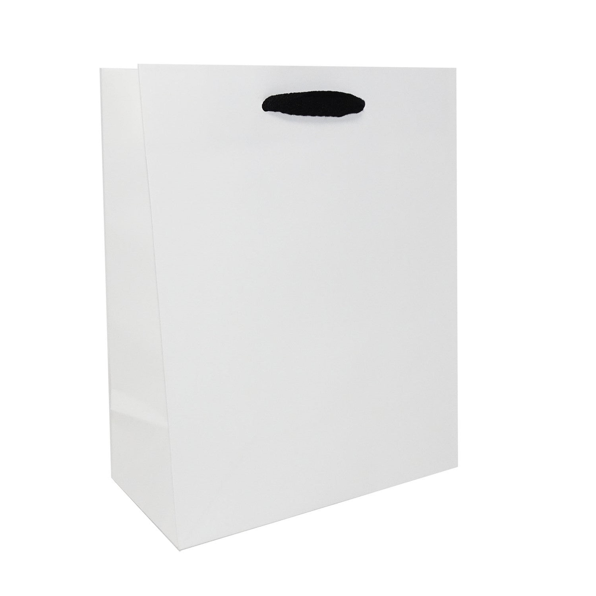 8 x 4 x 10" / Blank Bag / No Printing / Case/100