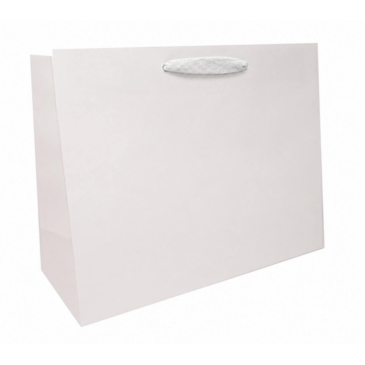 13 x 5 x 10" / Blank Bag / No Printing / Case/100