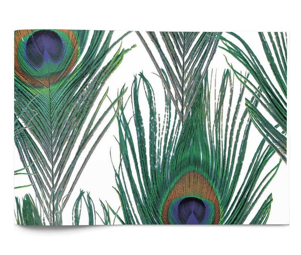 Peacock - Tissue Ream