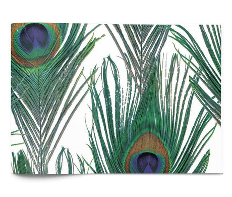 Peacock - Tissue Ream