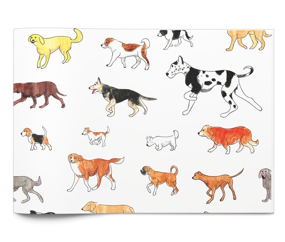 Man's Best Friend - Tissue - Ream - 20 x 30"