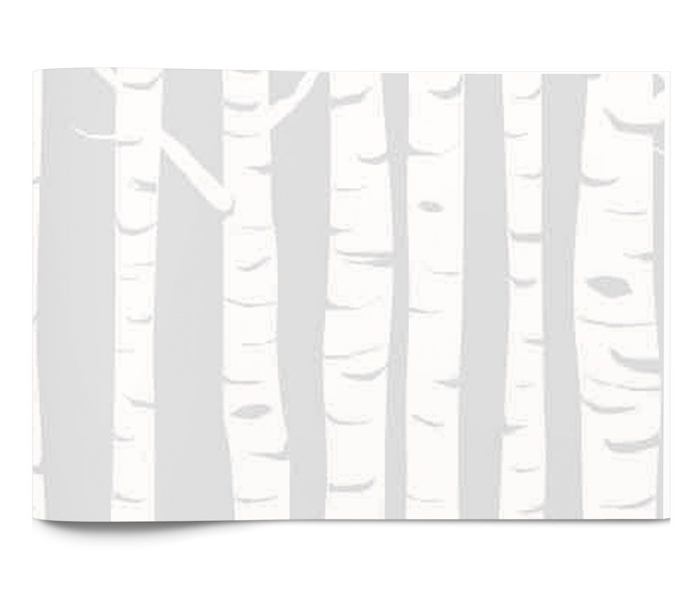 White Birch - Tissue - Ream - 20 x 30"