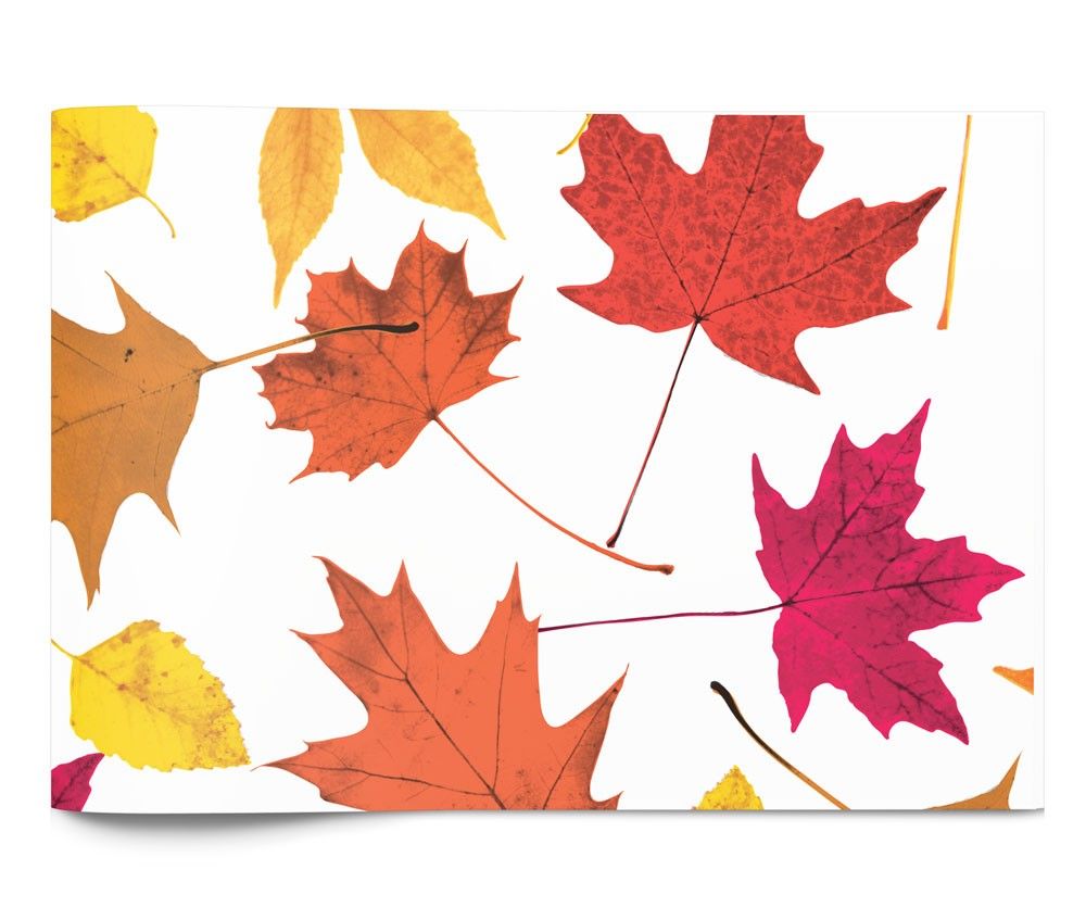 Fall Leaves - Tissue - Ream - 20 x 30"