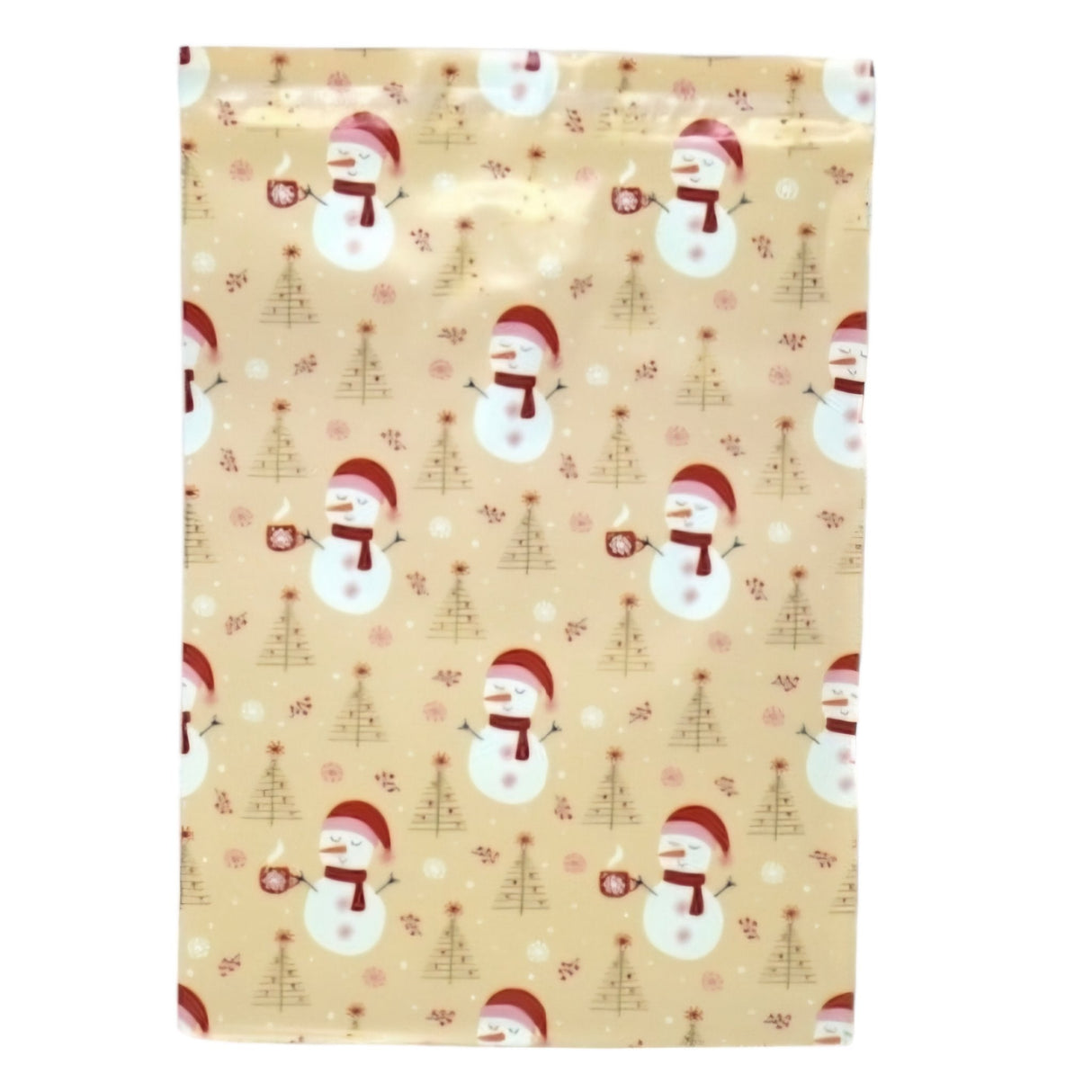 Snowman Santa Hat Poly Mailers Size 10x13 Christmas Shipping Bags