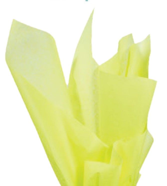 Solid Color Tissue - 24 Sheet Packs