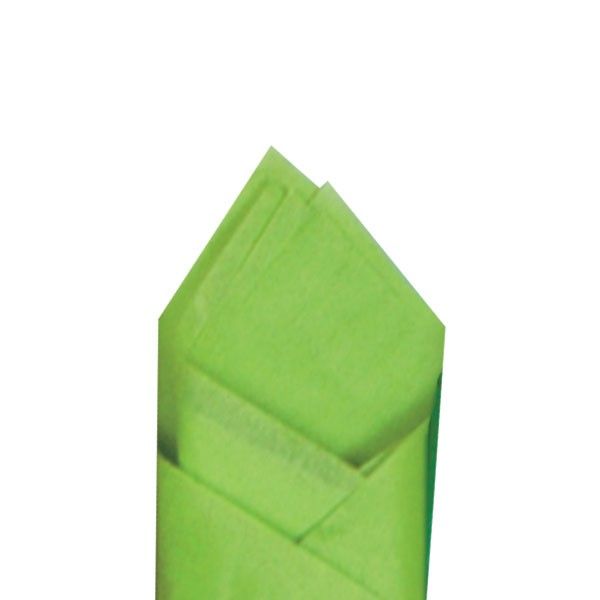 Citrus Green - Tissue Wrap - 20 x 30"