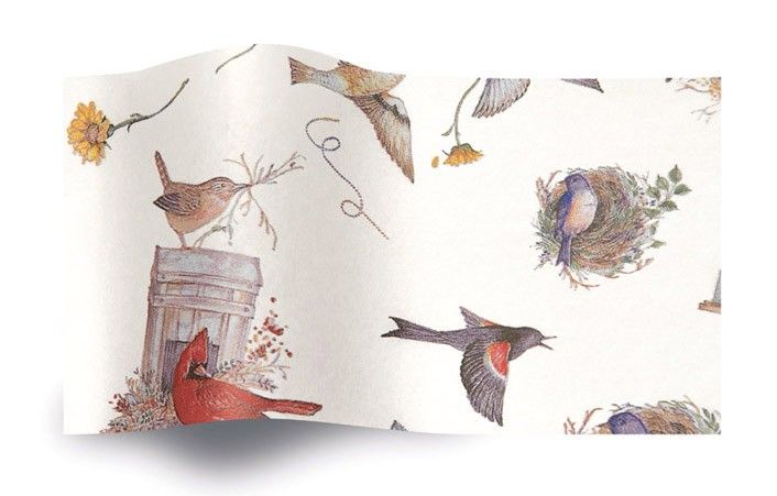 Birds' Nests - Tissue - Ream - 20 x 30"