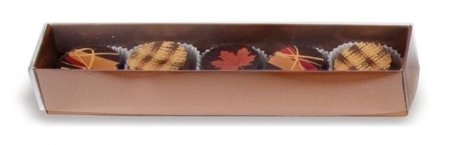 Copper/Clear Lid - Long Candy Box - (5 Pc.) 6-7/8 x 1-1/4 x 1-1/8"