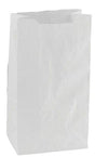 White - Pharmacy Bag - 5 x 2 x 12"