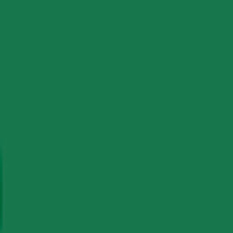 Matte Dark Green