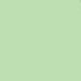 Matte Mint Green Foil Hot Stamp
