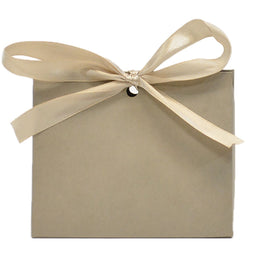 Champagne - Purse Box - 4.5 x 2 x 3.75"