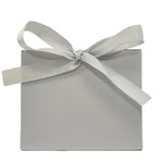 Chrome - Purse Box - 4.5 x 2 x 3.75"