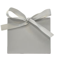 Chrome - Purse Box - 4.5 x 2 x 3.75"