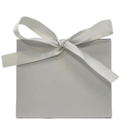 Chrome - Purse Box - 4.5 x 2 x 3.75"