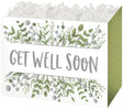 Get Well Greenery - Basket Box - 6-3/4 x 4 x 5"