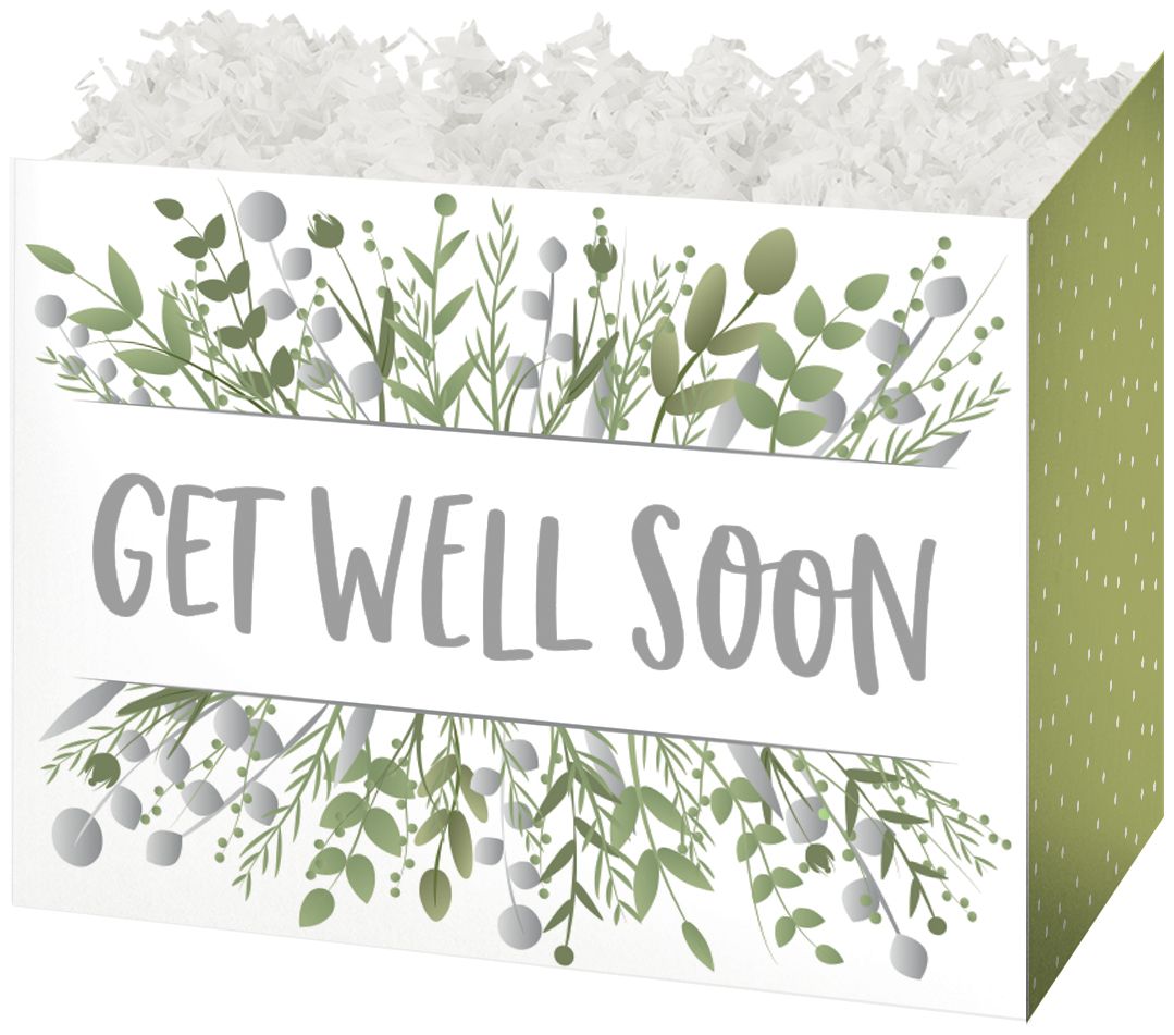 Get Well Greenery - Basket Box - 6-3/4 x 4 x 5"