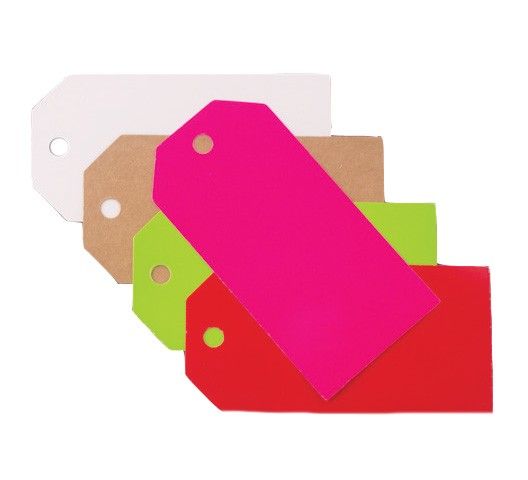 Fuchsia - Gift Tag - 2 x 4"