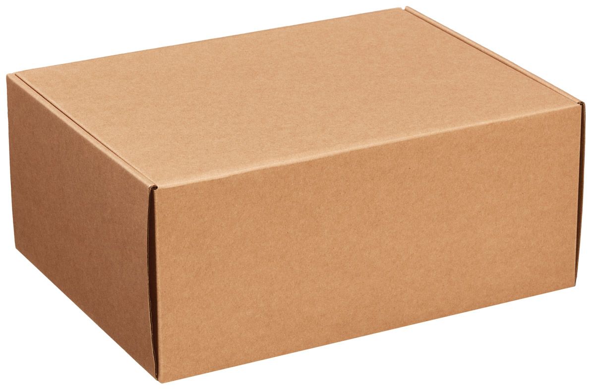 Kraft - Decorative Mailer - 12 x 9 x 5"