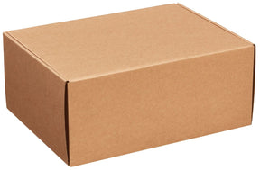 Kraft - Decorative Mailer - 12 x 9 x 5"