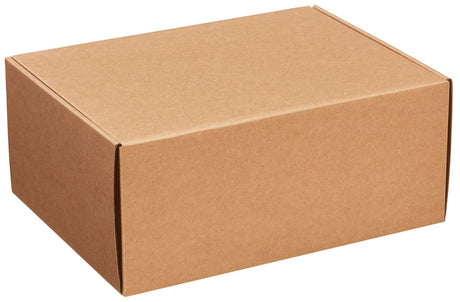 Kraft - Decorative Mailer - 12 x 9 x 5"