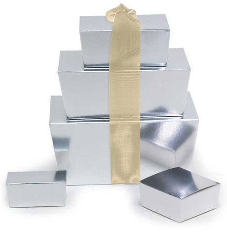 Silver - Ballotin Box - (1/2 lb) 5-7/8 x 3-1/4 x 2-1/2"