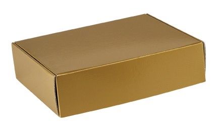 Gold Metallic - Decorative Mailer - 12 x 9 x 3"