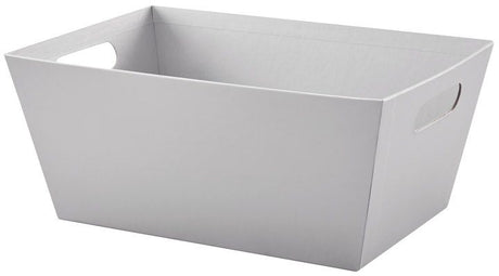 Silver Metallic - Market Tray - 14 x 9 x 6"