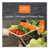 World Centric Fiber Trays, PLA Lined, PFAS Free, 1-Compartment, 18 x 14 x 1, Natural, Paper, 100/Carton