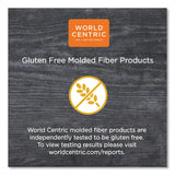 World Centric Fiber Trays, PLA Lined, PFAS Free, 1-Compartment, 18 x 14 x 1, Natural, Paper, 100/Carton