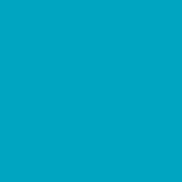 Aqua PMS 3125U