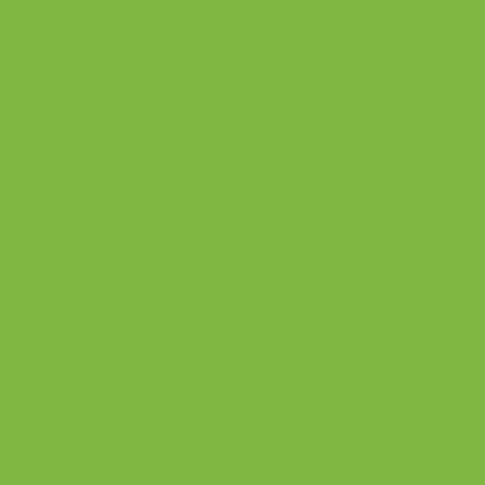 Lime PMS 376U