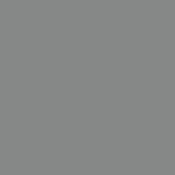 Metallic Silver PMS 877U