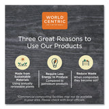 World Centric 100 Percent PCW Recycled Paper Towels, 1-Ply, 9 x 9, Natural, 250/Pack, 16 Packs/Carton