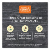 World Centric PLA Rectangular Deli Containers, 16 oz, 4.8 x 5.9 x 2.8, Clear, Plastic, 900/Carton