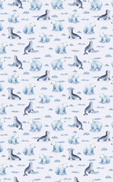 Arctic Companions