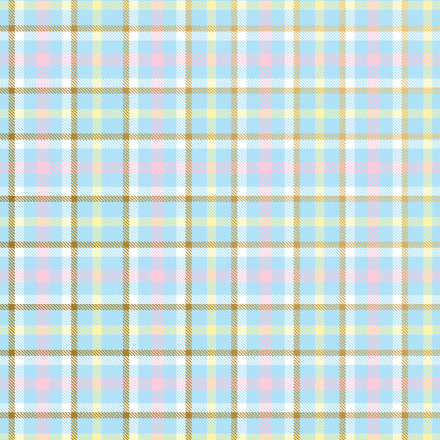 Baby Plaid Gift Wrap - B202.1a.jpg