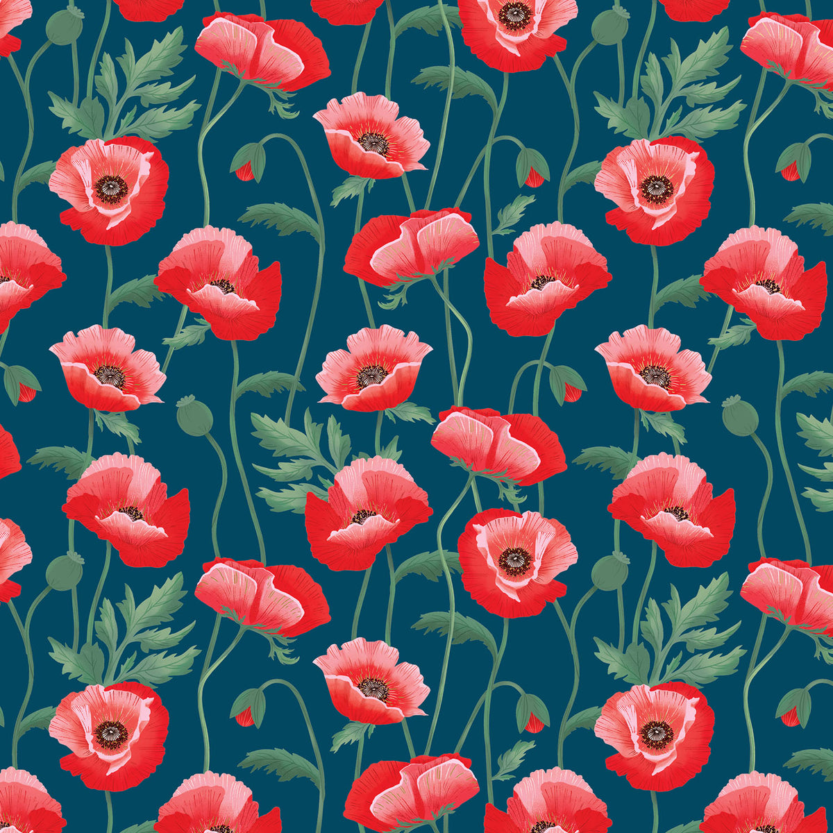 Pretty Poppies Gift Wrap - B230.1a.jpg