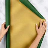 Hunter & Gold Kraft Gift Wrap - B2515D.1e.jpg