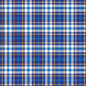 Blue Plaid Gift Wrap - B484.1a.jpg