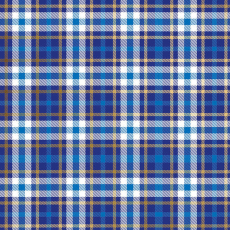 Blue Plaid Gift Wrap - B484.1a.jpg