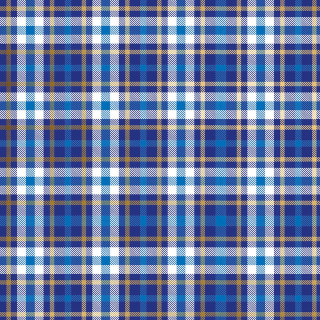 Blue Plaid Gift Wrap - B484.1a.jpg