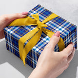 Blue Plaid Gift Wrap - B484.1b.jpg