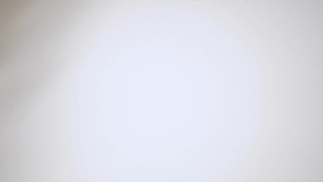 Matte White - Gift Wrap — additional view i