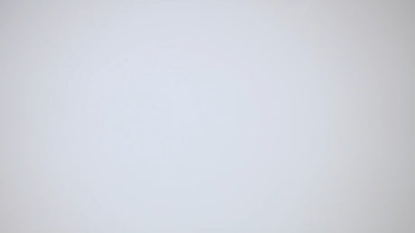 Iridescent White - Gift Wrap — additional view i