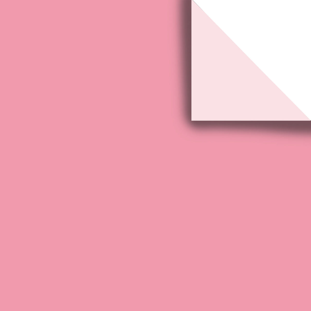Pacific Coast Solid Tissue Paper — primary image
