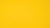 Pacific Coast Solid Tissue Paper — additional view h