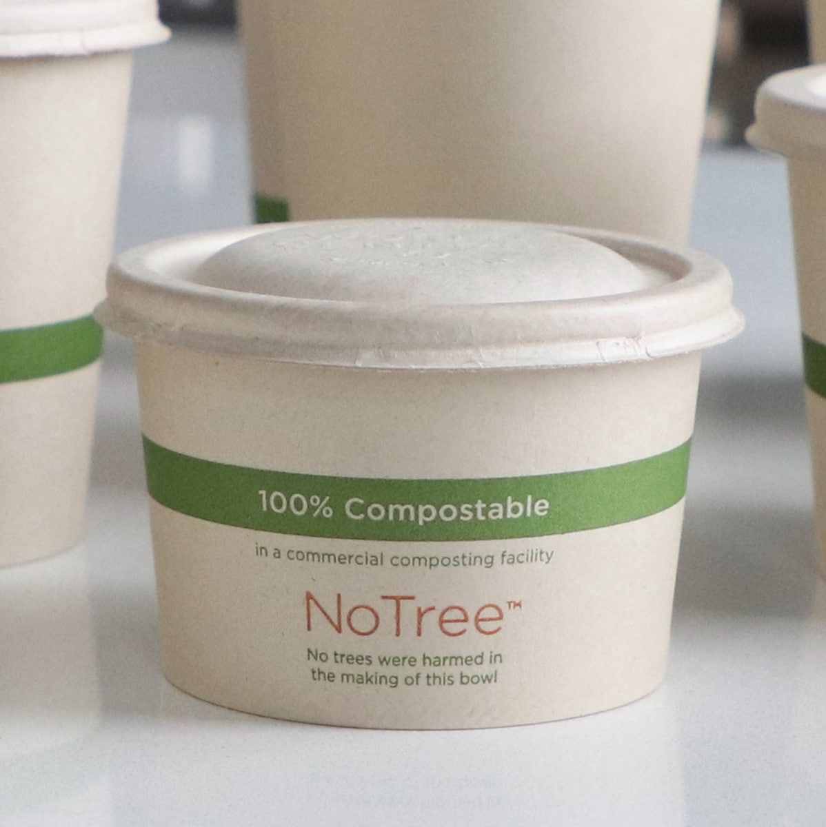 World Centric LID Fiber - 8 oz Paper Bowls (QTY:1000)